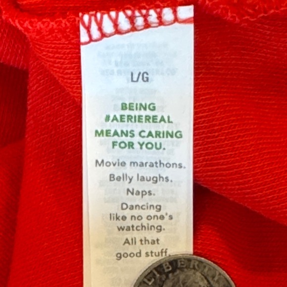 Aerie Hometown Holiday Red Chevron Sherpa Fleece Quarter Zip Sweatshirt Size L - Picture 8 of 13